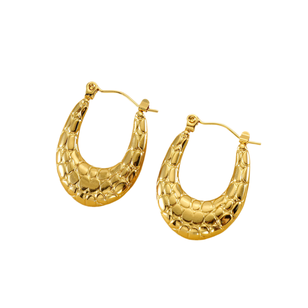 Titanium Steel Earrings For Women