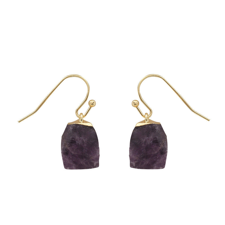 Crystal Stone Golden Earrings