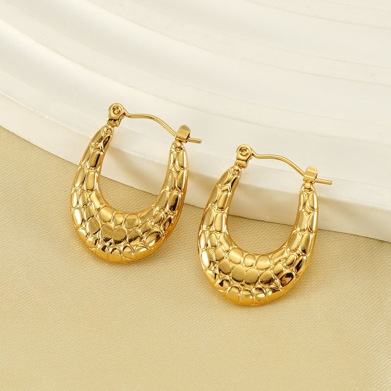 Titanium Steel Earrings For Women